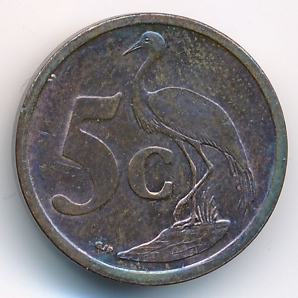 ЮАР, 5 центов (2008 г.)