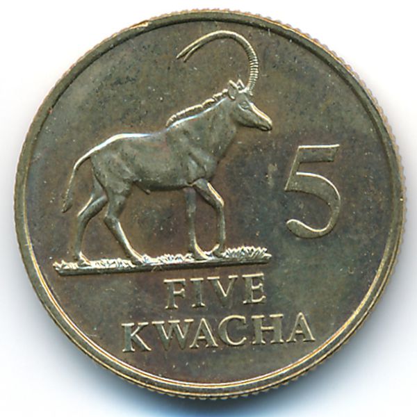Замбия, 5 квача (1992 г.)
