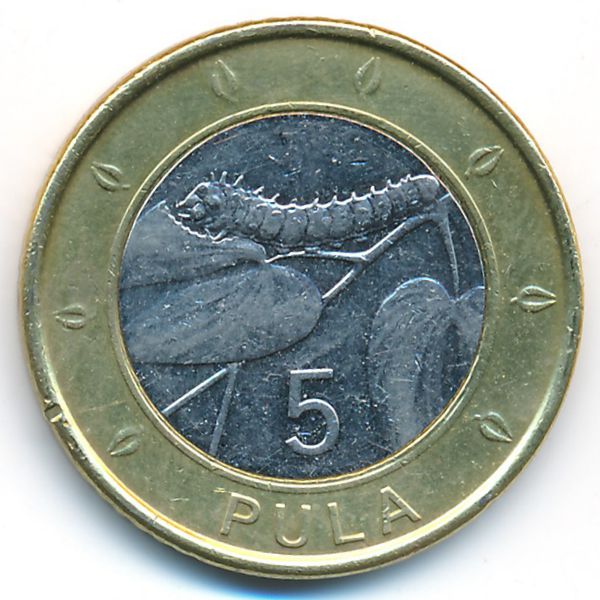Ботсвана, 5 пул (2013 г.)
