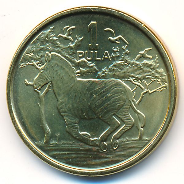 Ботсвана, 1 пула (2013 г.)