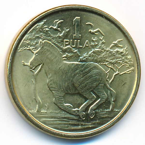 Ботсвана, 1 пула (2013 г.)