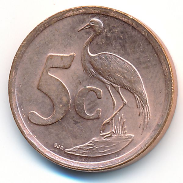 ЮАР, 5 центов (2003 г.)