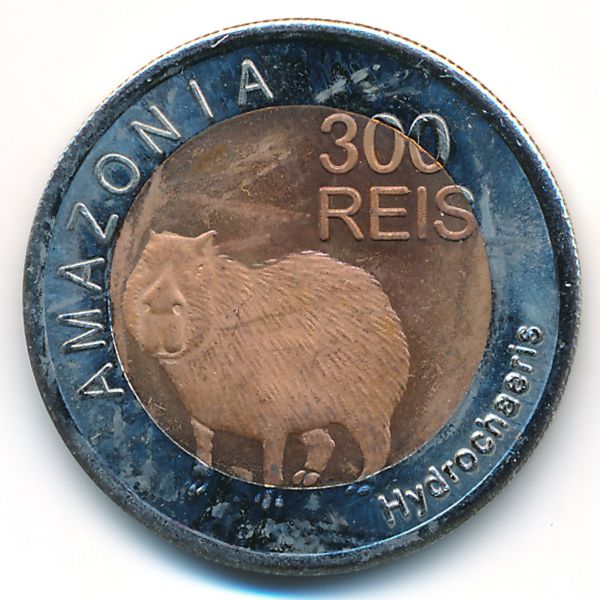 Амазония., 300 рейс (2012 г.)