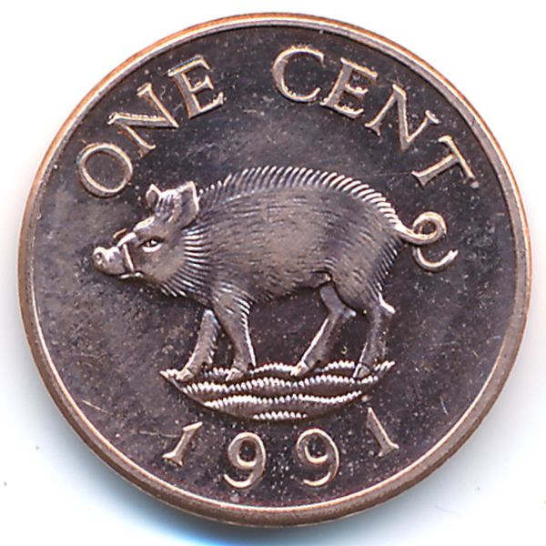 Бермудские острова, 1 цент (1991 г.)