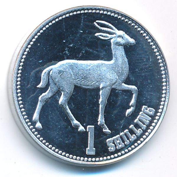 Сомалиленд, 1 шиллинг (2019 г.)