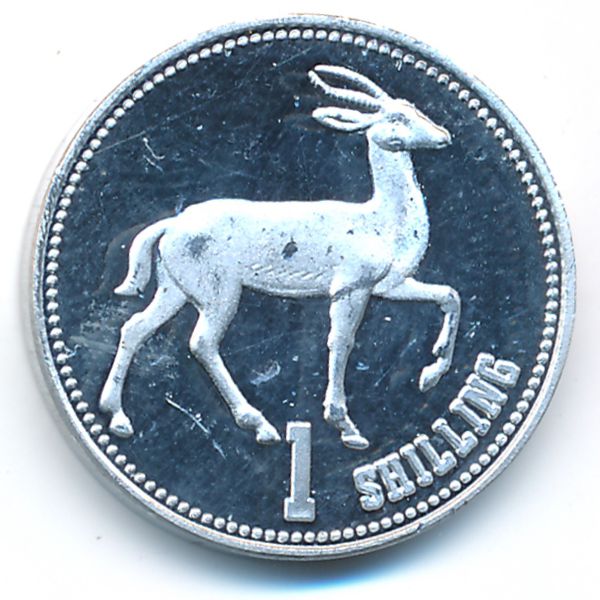 Сомалиленд, 1 шиллинг (2019 г.)