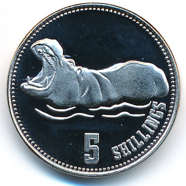 Сомалиленд, 5 шиллингов (2019 г.)