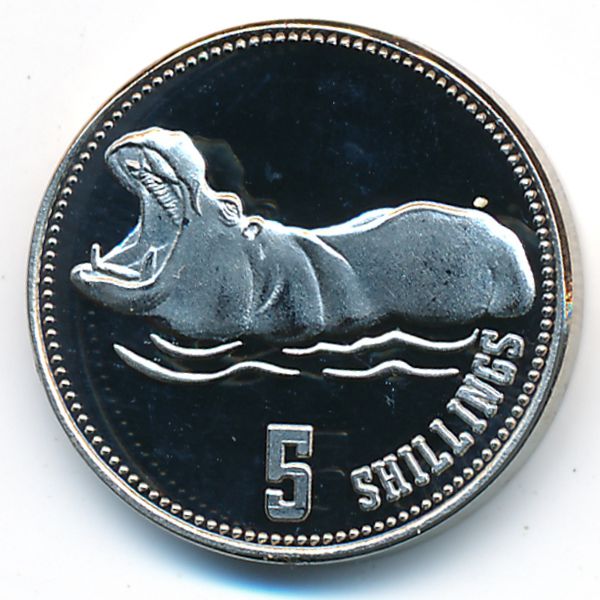 Сомалиленд, 5 шиллингов (2019 г.)