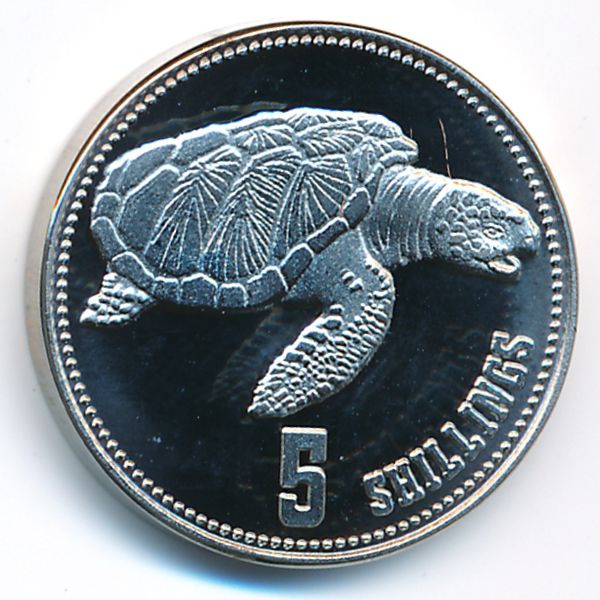 Сомалиленд, 5 шиллингов (2019 г.)