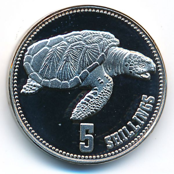 Сомалиленд, 5 шиллингов (2019 г.)