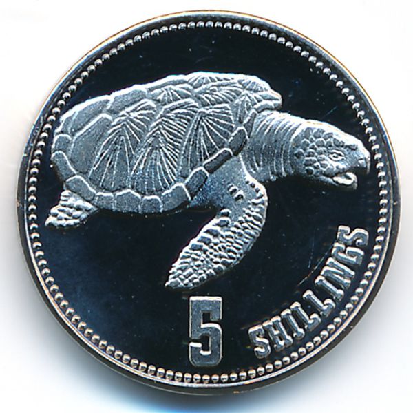 Сомалиленд, 5 шиллингов (2019 г.)