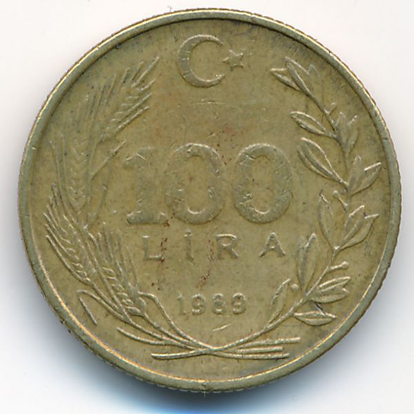 Турция, 100 лир (1989 г.)