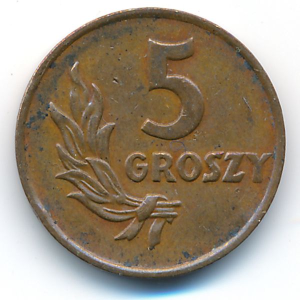 Польша, 5 грошей (1949 г.)