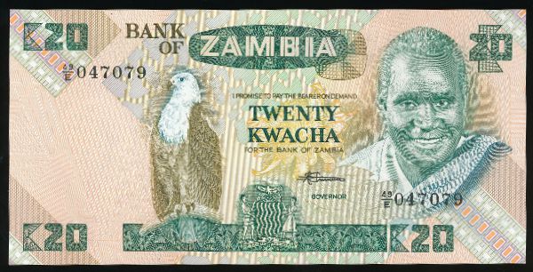 Замбия, 20 квача