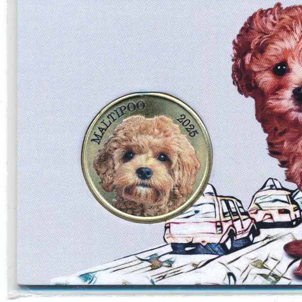 Паган., 3 доллара (2025 г.)