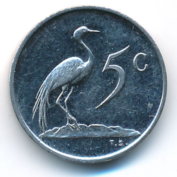 ЮАР, 5 центов (1981 г.)