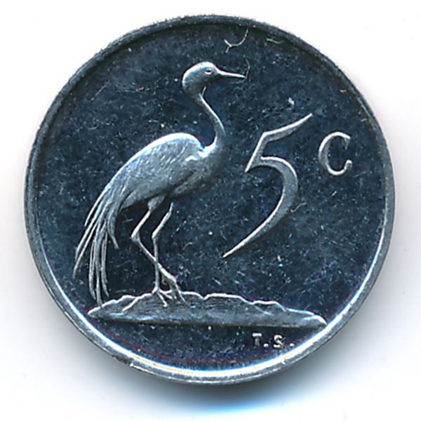 ЮАР, 5 центов (1981 г.)