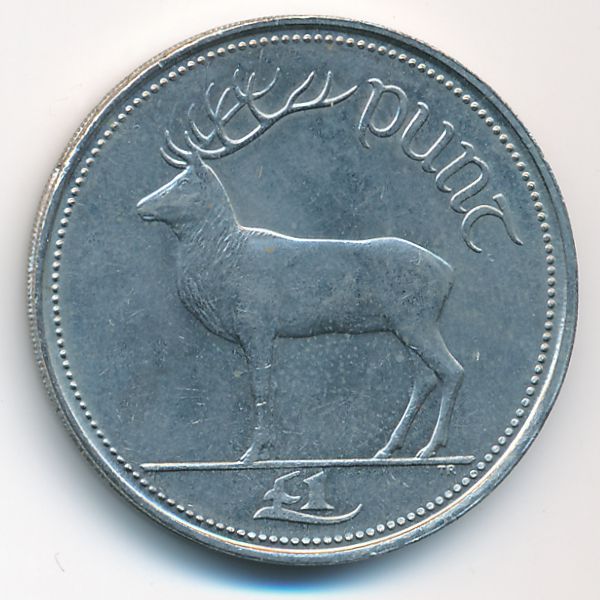 Ирландия, 1 фунт (1990 г.)