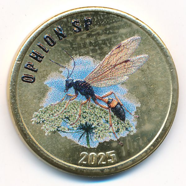 Остров Чилоэ., 2 фунта (2025 г.)