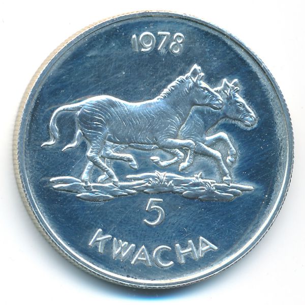 Малави, 5 квача (1978 г.)