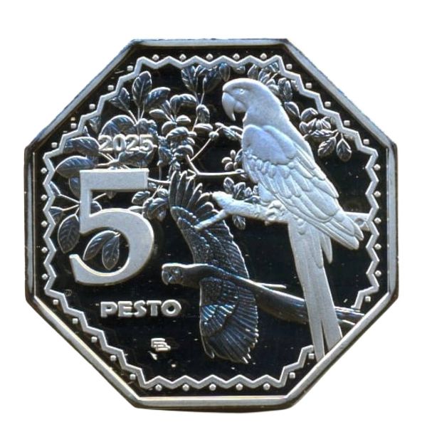 Койба., 5 песто (2025 г.)