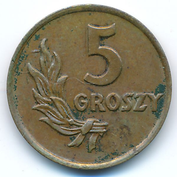 Польша, 5 грошей (1949 г.)
