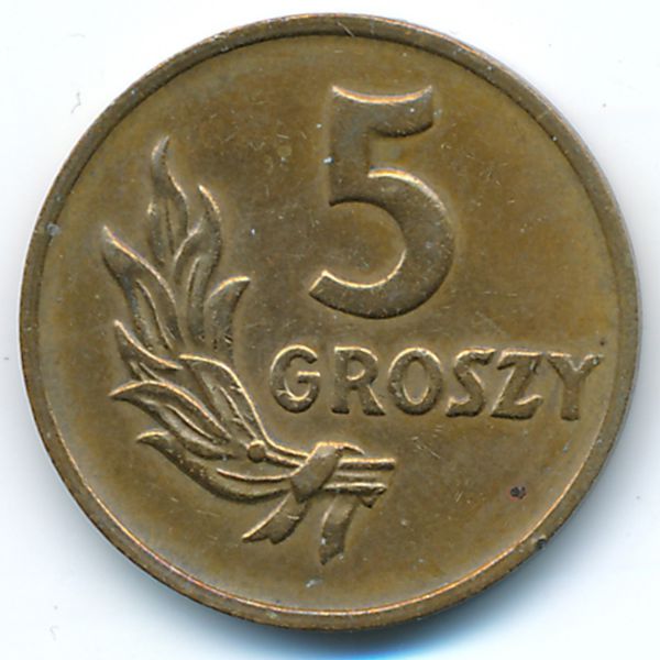 Польша, 5 грошей (1949 г.)
