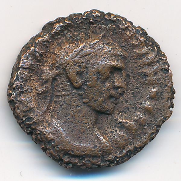 Александрия, 1 тетрадрахма