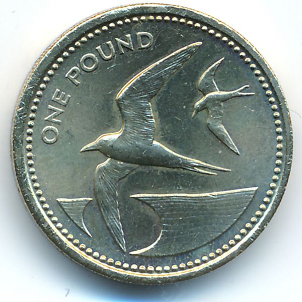 Остров Святой Елены и острова Вознесения, 1 фунт (1984 г.)