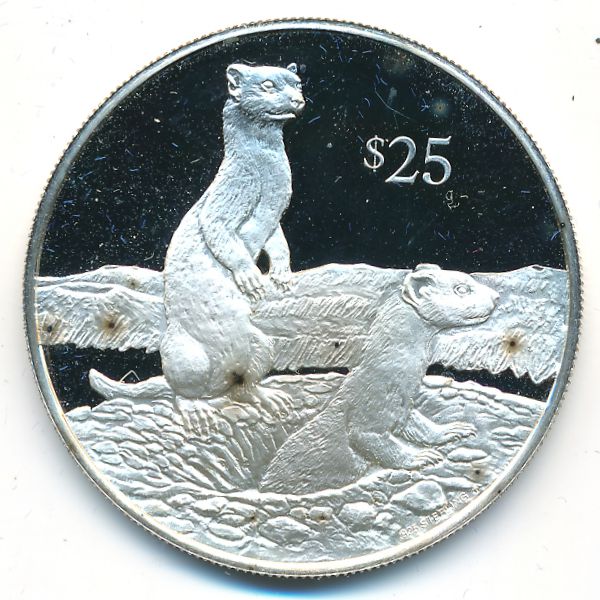 Виргинские острова, 25 долларов (1993 г.)