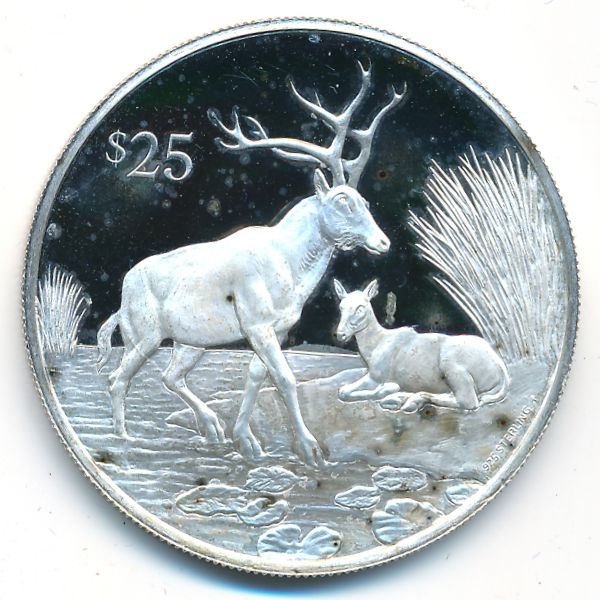 Виргинские острова, 25 долларов (1993 г.)
