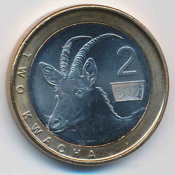 Замбия, 2 квача (2025 г.)