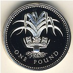 Великобритания, 1 фунт (1985–1990 г.)