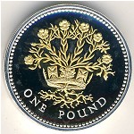 Великобритания, 1 фунт (2008 г.)