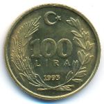 Турция, 100 лир (1993 г.)