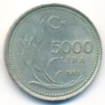 Турция, 5000 лир (1993 г.)