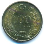 Турция, 100 лир (1993 г.)
