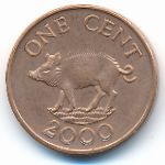 Бермудские острова, 1 цент (2000–2001 г.)