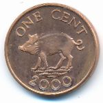 Бермудские острова, 1 цент (2000–2005 г.)