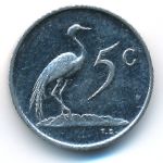 South Africa, 5 cents, 1981