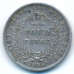 Британская Гвиана, 4 пенса (1891 г.)