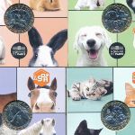 Франция, Набор монет