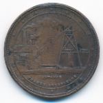 Новая Зеландия, 1 пенни (1874 г.)